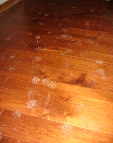 What Is The Best Type Of Hardwood Flooring If You Have Dogs
